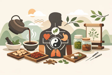 How Chinese Herbal Formulas Work