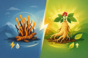 Cordyceps vs Ginseng Energy for Daily Vitality