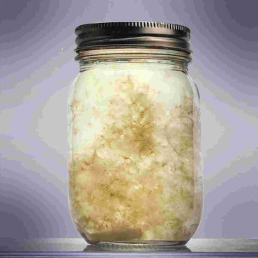 Most brands sell Coryceps Mycelium (Fermented), so what exactly is Cordyceps Mycelium?